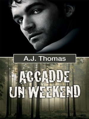 cover image of Accadde un weekend